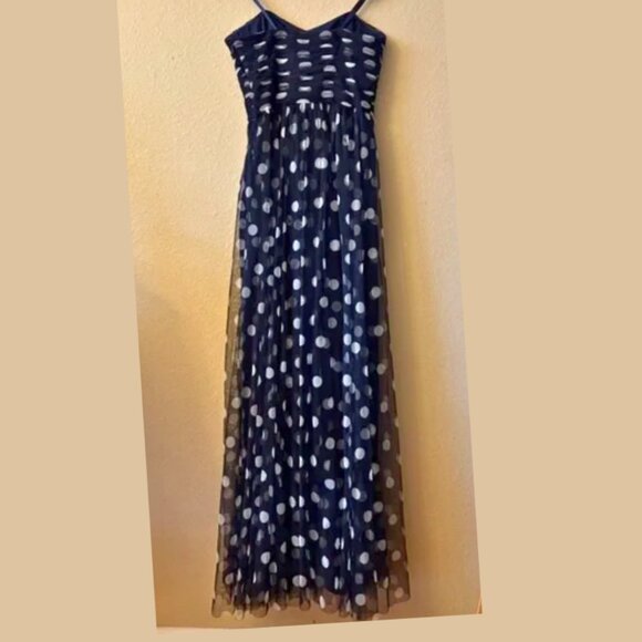 Lauren Ralph Lauren Dresses & Skirts - FLAWED - READ Lauren Ralph Lauren Polka Dot Tulle Maxi Dress
